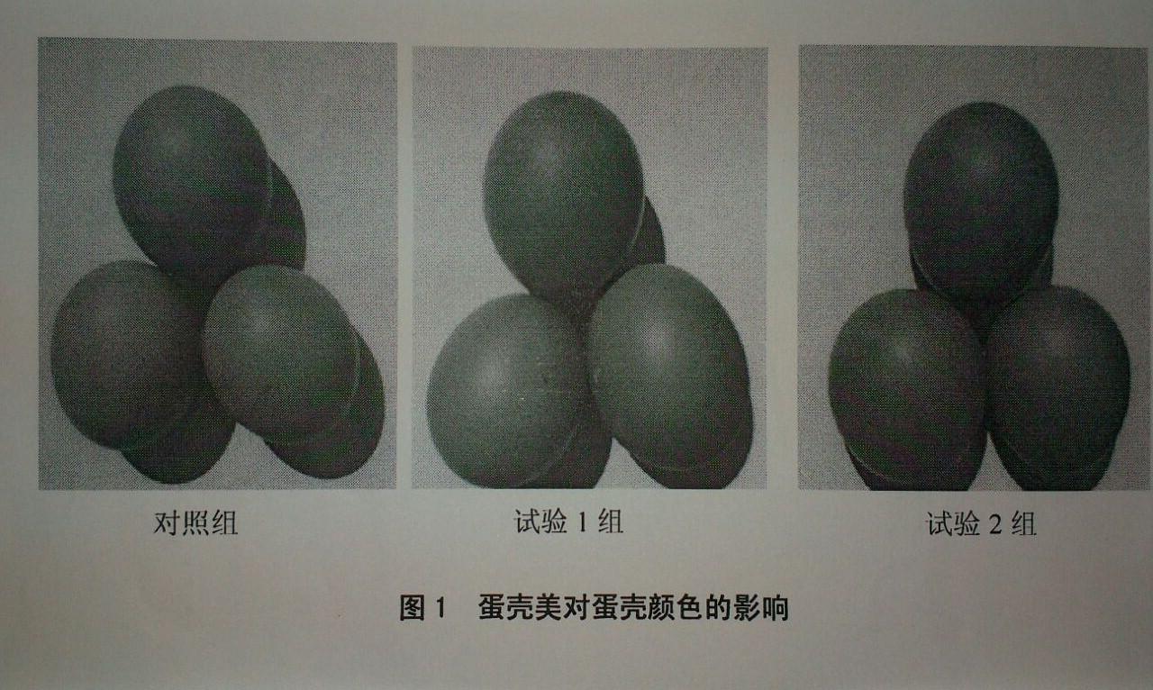 彩运网(中国)有限公司-官方网站