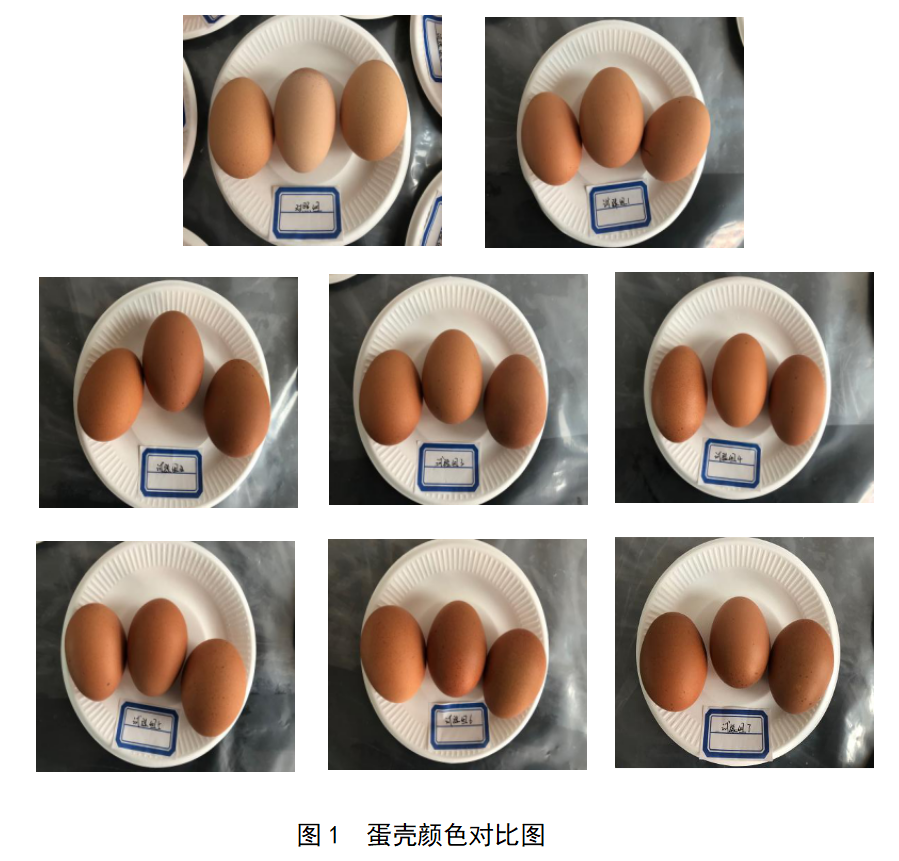 彩运网(中国)有限公司-官方网站