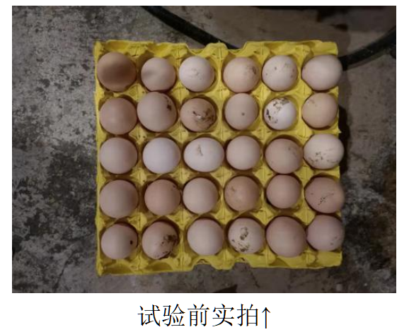 彩运网(中国)有限公司-官方网站