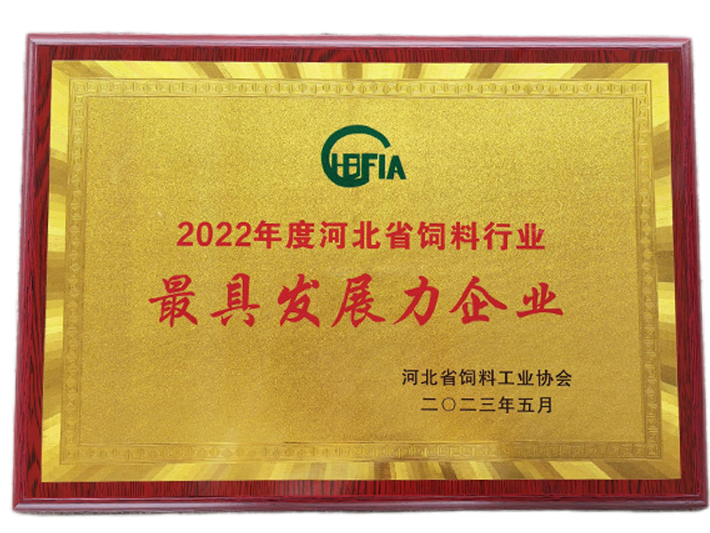 彩运网(中国)有限公司-官方网站